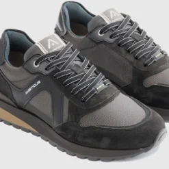 Ambitious 1414611184- Trainer.