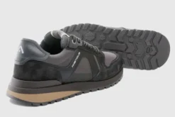 Ambitious 1414611184- Trainer.