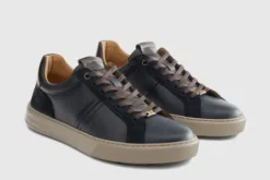 Ambitious 141347128- Trainer.