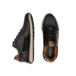 Ambitious 136756553-Trainer.