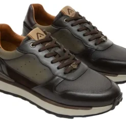 Ambitious 136756565-Trainer.