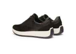 Ara 122511201- Trainer.