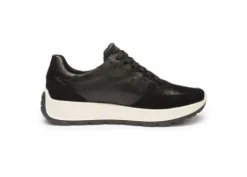Ara 122511201- Trainer.