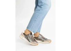 Ara 125480179- Trainer.