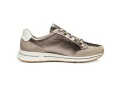 Ara 125480179- Trainer.