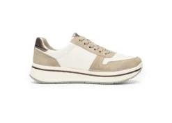 Ara 122754095- Trainer.