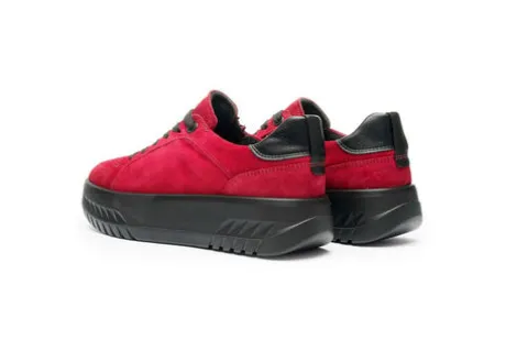 Ara 124670319- Trainer.