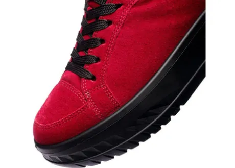 Ara 124670319- Trainer.