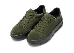 Ara 124670707- Trainer.