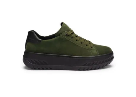 Ara 124670707- Trainer.