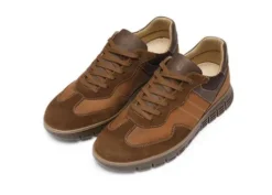 Ara 112340109-Trainer.