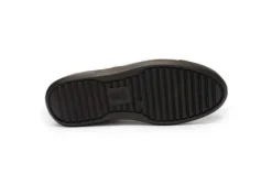 Ara 122301218-Trainer.