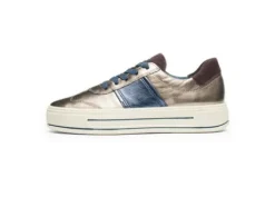 Ara 122301205-Trainer.