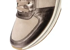 Ara 122483617-Trainer.