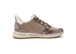 Ara 122483617-Trainer.