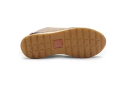 Ara 122483617-Trainer.