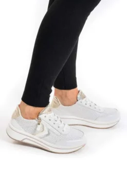 Ara 122755004-Trainer.