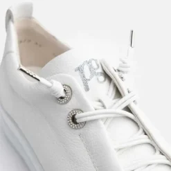 Paul Green - 5417046 - Trainer.