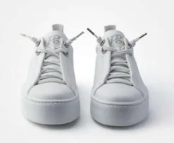 Paul Green - 5417046 - Trainer.