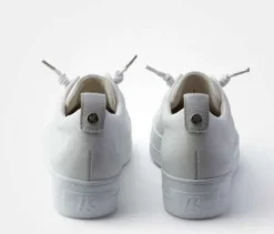 Paul Green - 5417046 - Trainer.