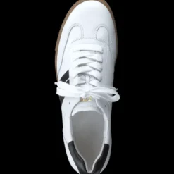 Paul Green 5350086- Trainer.