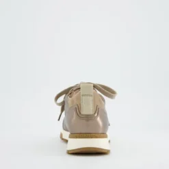 Paul Green 5392148- Trainer.