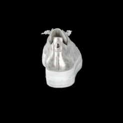 Paul Green 5017123- Trainer.