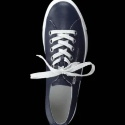 Paul Green 4760033- Trainer.