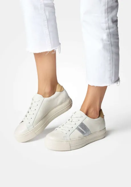 Paul Green 5330015- Trainer.