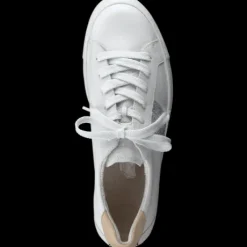 Paul Green 5330015- Trainer.