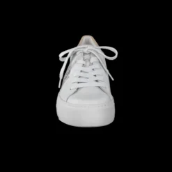 Paul Green 5330015- Trainer.