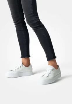 Paul Green 4790155- Trainer.