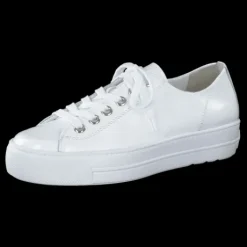 Paul Green 4790155- Trainer.