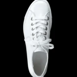 Paul Green 4790155- Trainer.