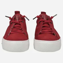 Paul Green 5017326- Trainer.