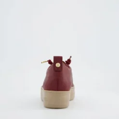 Paul Green 5017438- Trainer.