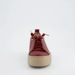 Paul Green 5017438- Trainer.