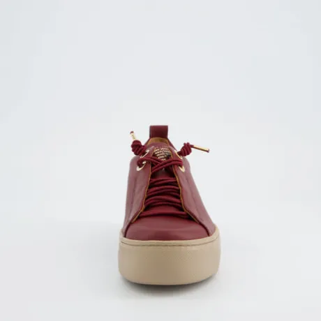 Paul Green 5017438- Trainer.