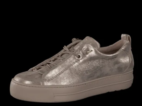 Paul Green 5417066- Trainer.