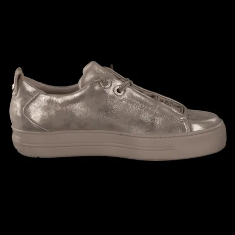 Paul Green 5417066- Trainer.