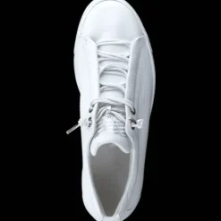 Paul Green 5017213-Trainer.