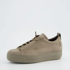 Paul Green 5017418-Trainer.