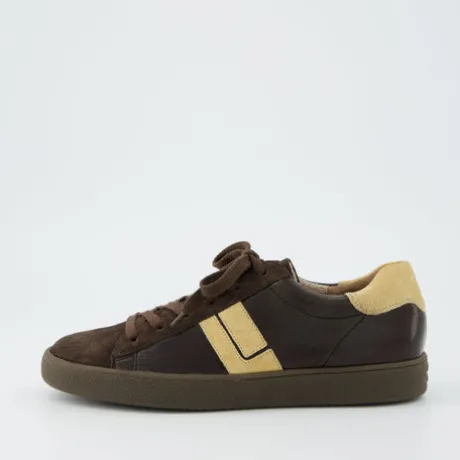 Paul Green 5464188-Trainer.