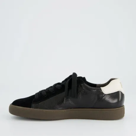 Paul Green 5464208-Trainer.