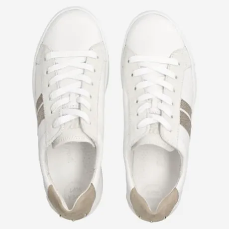 Paul Green 5430067-Trainer.