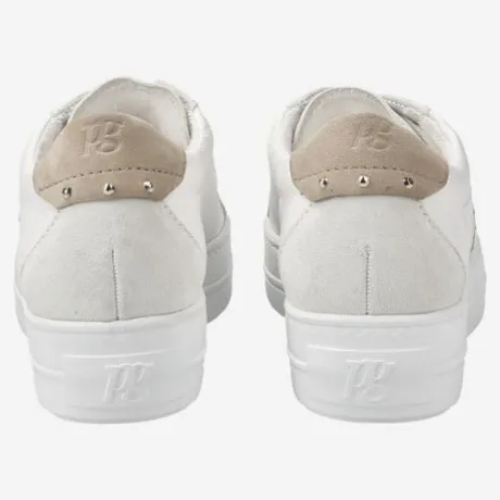 Paul Green 5430067-Trainer.