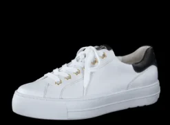 Paul Green 5320085-Trainer.