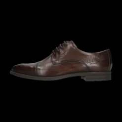Salamander Brown Lace-Up Business Shoe |E11AUU026