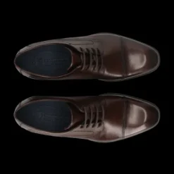 Salamander Brown Lace-Up Business Shoe |E11AUU026