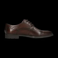 Salamander Brown Lace-Up Business Shoe |E11AUU026